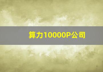 算力10000P公司