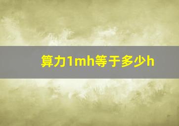 算力1mh等于多少h