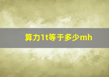 算力1t等于多少mh