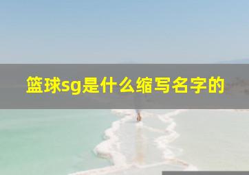 篮球sg是什么缩写名字的