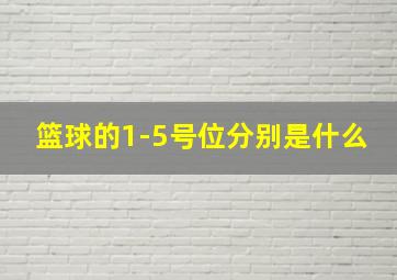 篮球的1-5号位分别是什么