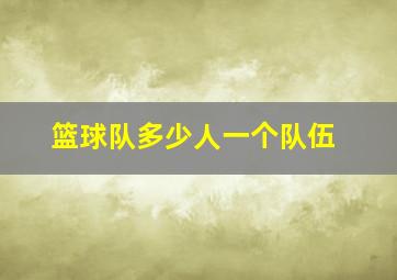 篮球队多少人一个队伍