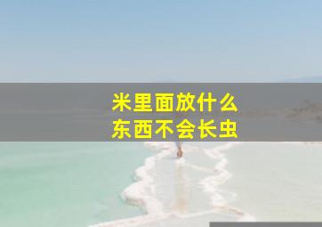 米里面放什么东西不会长虫