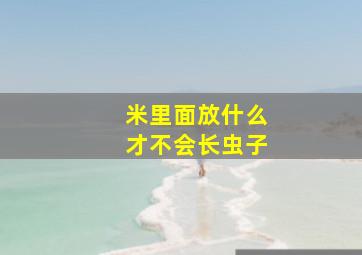 米里面放什么才不会长虫子