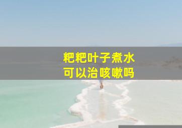 粑粑叶子煮水可以治咳嗽吗