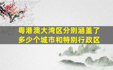 粤港澳大湾区分别涵盖了多少个城市和特别行政区