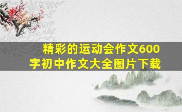 精彩的运动会作文600字初中作文大全图片下载