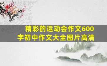 精彩的运动会作文600字初中作文大全图片高清