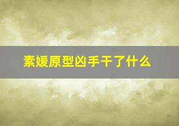 素媛原型凶手干了什么