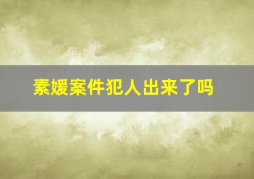 素媛案件犯人出来了吗