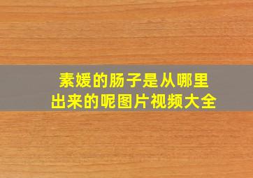 素媛的肠子是从哪里出来的呢图片视频大全