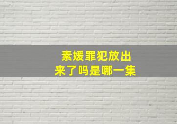 素媛罪犯放出来了吗是哪一集