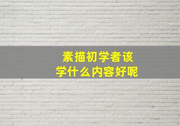 素描初学者该学什么内容好呢