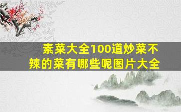 素菜大全100道炒菜不辣的菜有哪些呢图片大全