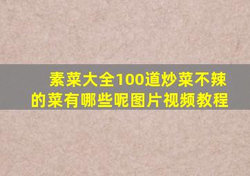 素菜大全100道炒菜不辣的菜有哪些呢图片视频教程