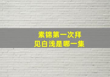 素锦第一次拜见白浅是哪一集