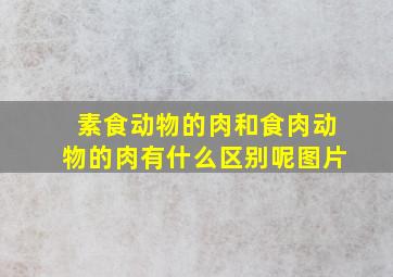 素食动物的肉和食肉动物的肉有什么区别呢图片