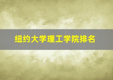 纽约大学理工学院排名