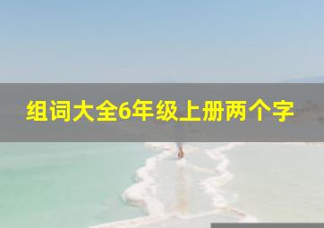 组词大全6年级上册两个字