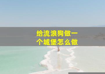 给流浪狗做一个城堡怎么做