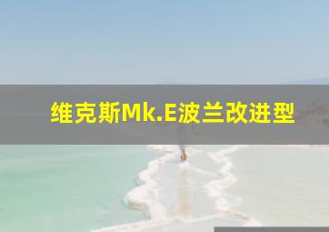 维克斯Mk.E波兰改进型