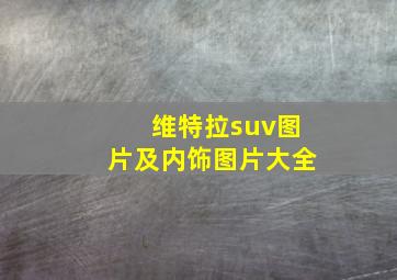 维特拉suv图片及内饰图片大全