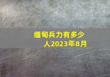 缅甸兵力有多少人2023年8月