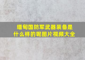 缅甸国防军武器装备是什么样的呢图片视频大全