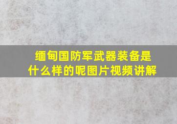 缅甸国防军武器装备是什么样的呢图片视频讲解