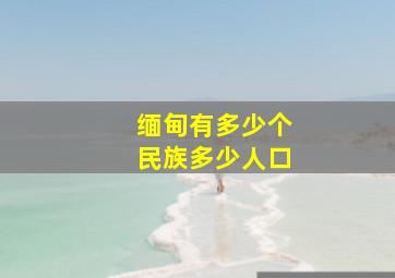 缅甸有多少个民族多少人口