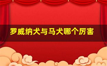 罗威纳犬与马犬哪个厉害