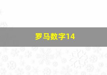 罗马数字14