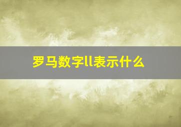 罗马数字ll表示什么