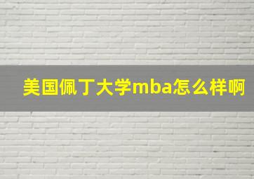 美国佩丁大学mba怎么样啊