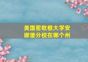 美国密歇根大学安娜堡分校在哪个州