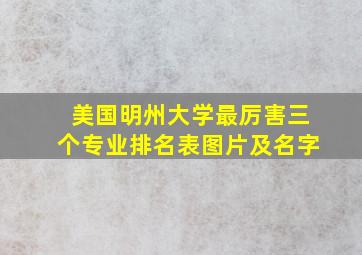 美国明州大学最厉害三个专业排名表图片及名字