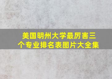 美国明州大学最厉害三个专业排名表图片大全集