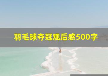 羽毛球夺冠观后感500字