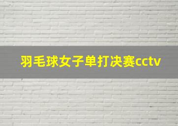 羽毛球女子单打决赛cctv