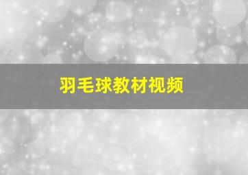 羽毛球教材视频