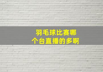 羽毛球比赛哪个台直播的多啊