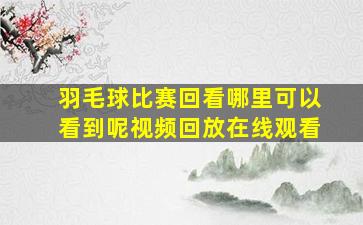 羽毛球比赛回看哪里可以看到呢视频回放在线观看