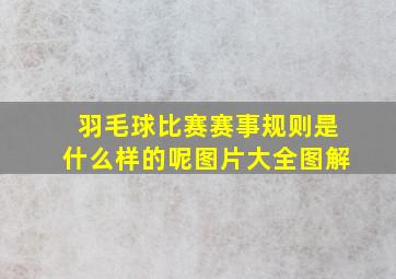 羽毛球比赛赛事规则是什么样的呢图片大全图解