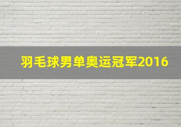 羽毛球男单奥运冠军2016