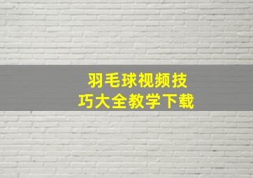 羽毛球视频技巧大全教学下载