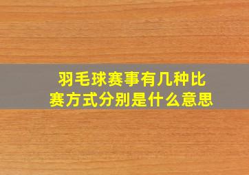 羽毛球赛事有几种比赛方式分别是什么意思