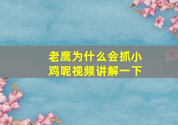 老鹰为什么会抓小鸡呢视频讲解一下