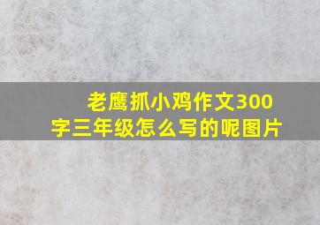 老鹰抓小鸡作文300字三年级怎么写的呢图片