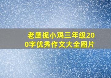 老鹰捉小鸡三年级200字优秀作文大全图片