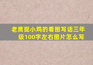 老鹰捉小鸡的看图写话三年级100字左右图片怎么写